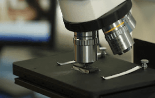 Quality Assurance